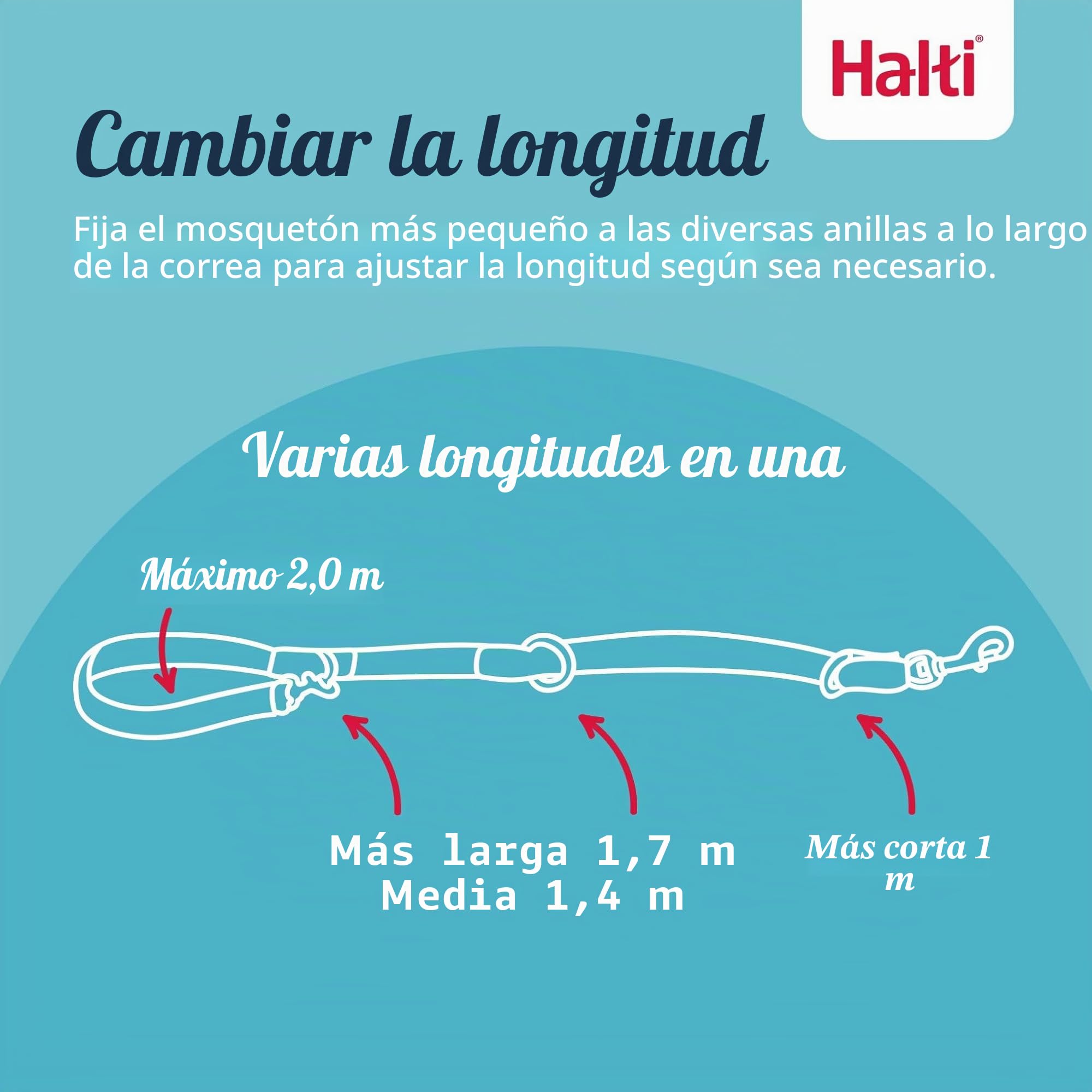 HALTI - Arnés antitirones tamaño mediano y correa de entrenamiento HALTI tamaño grande, paquete combinado negro - Evita que tu perro tire de la correa. Ajustable, ligero y fácil de usar. Adecuado para