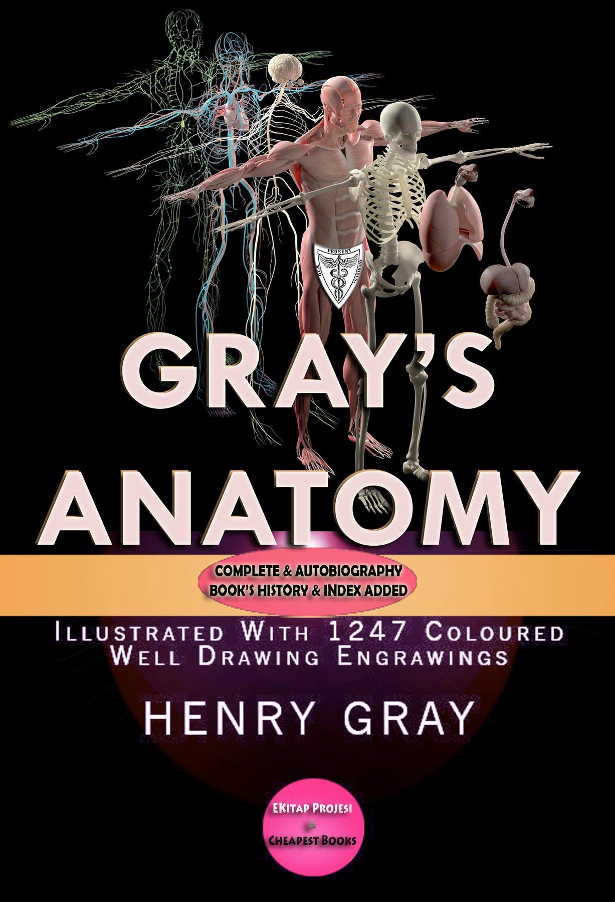 Gray's Anatomy: (Illustrated With 1247 Coloured Well Drawing Engrawings)