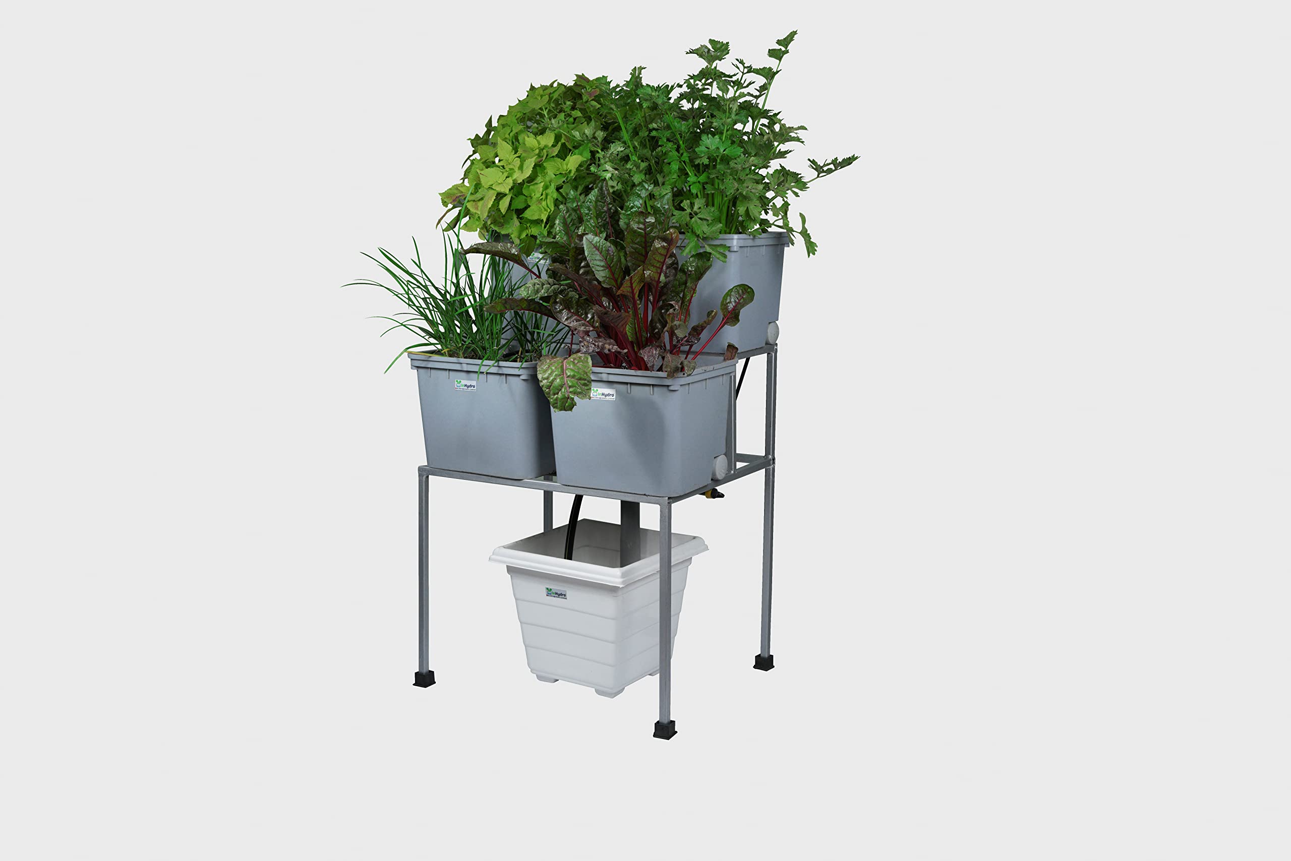 Dutch Bucket Hydroponic System | 4 Bucket Setup | Grey HDPE | Painted Finish-image-39