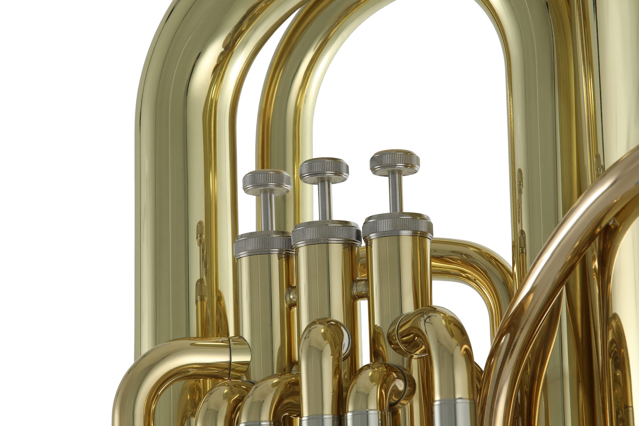 Roy Benson BBb-Tuba TB-301 (Professionelle Tuba, mit Goldmessing Mundrohr, Edelstahl Ventilen, praktischem Rollen-Formetui, perfekte Klangqualität trifft auf herausragendes Design)