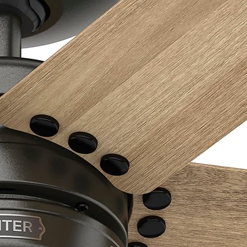 Miniatura 9 de Hunter Fan Company 52264 Burton - Ventilador de techo, bronce noble