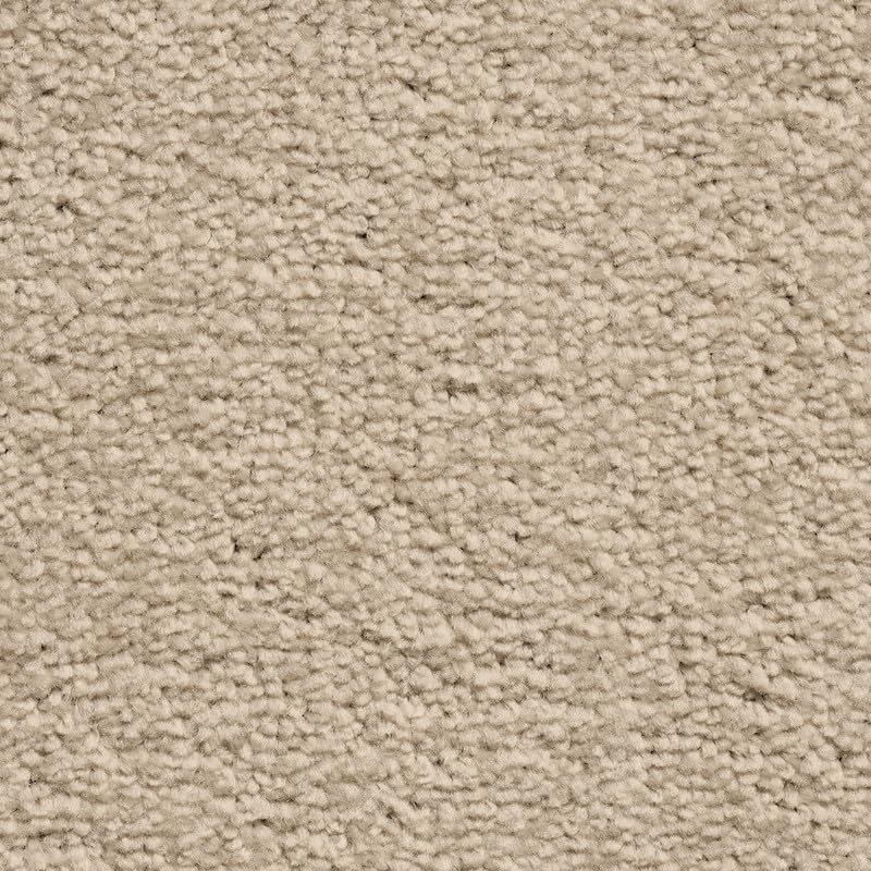 Tuda Carpet | Serene 10mm Pile Saxony Carpet with Action Backing, 12mm Total Height | Sandstone (170) - 4m x 5m (13ft1" x 16ft4") โ image 1