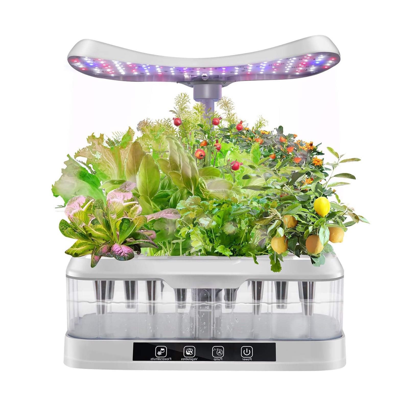 Hydroponics Growing System with Aquaponic Fish Tank,12 Pods Indoor Herb Garden with Full-Spectrum Plant Grow Light & Transparent Water Tank, Automatic Timer