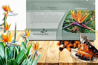 Outsidepride Bird of Paradise Seeds - 30 Pcs. Perennial, Versatile & Slo...