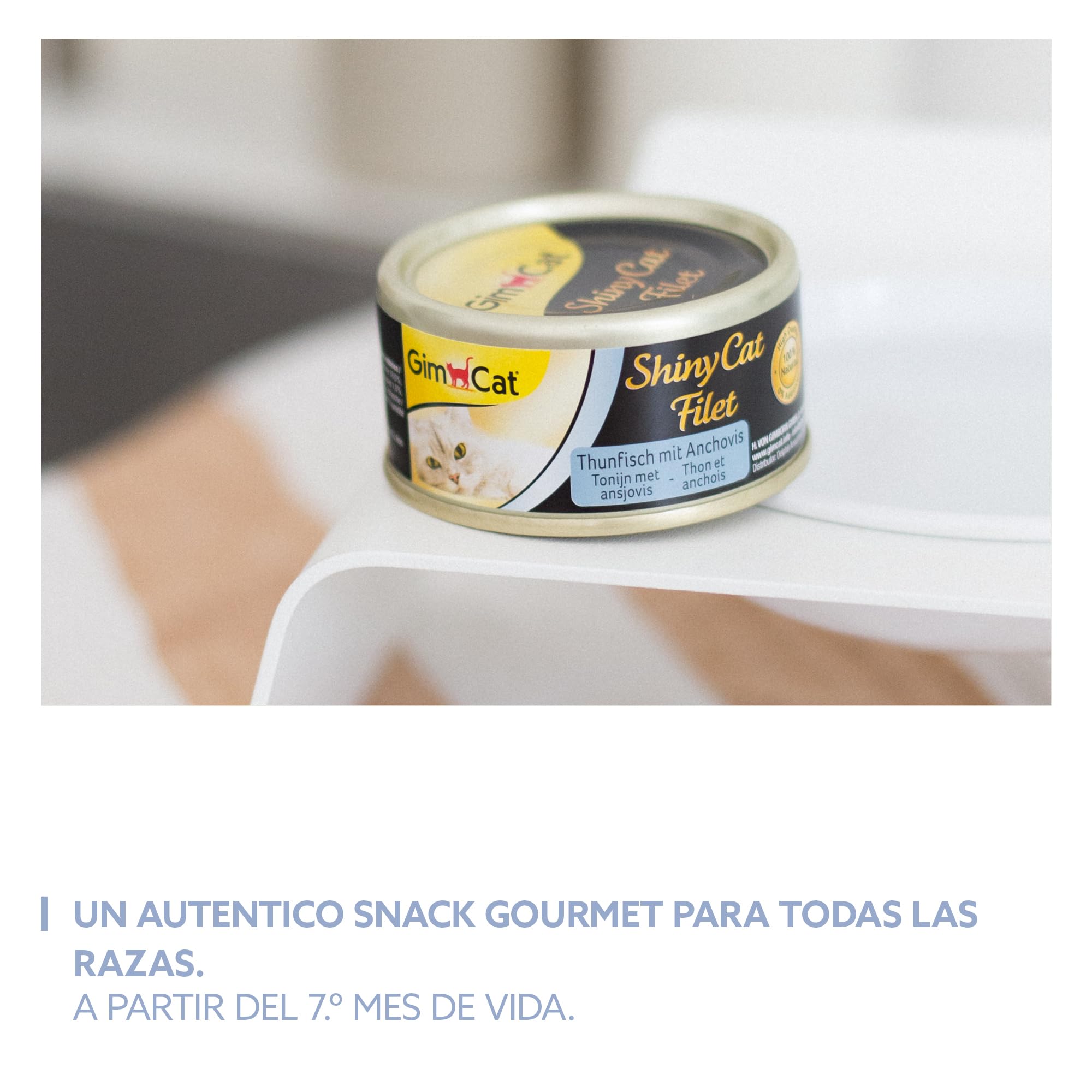 GimCat ShinyCat Filet atún con anchoas - Comida para gatos con jugoso filete y sin azúcar añadido, para gatos adultos - 24 latas (24 x 70 g)