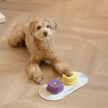 犬用 会話ボタン 音声ボタン ベル コミュニケーション しつけ訓練 ペット 楽天市場】犬用 録音ボタン 会話ボタン 音声ボタン ベル