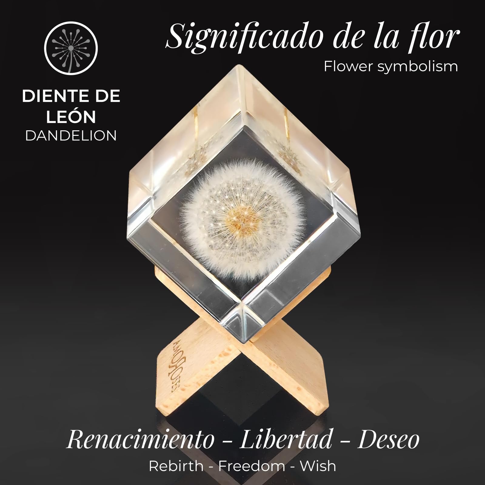 Amoroses WISH – Diente de león auténtico, conservado en cubo de resina transparente – Flor de ducha en paquete elegante – Idea regalo original, objeto decorativo – Expresa un deseo