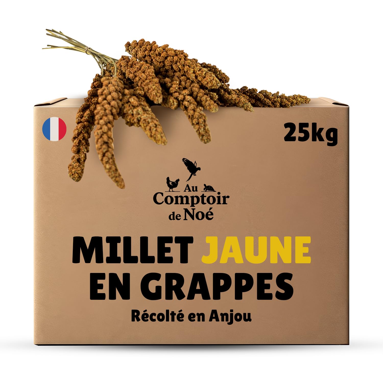 Millet en Grappes Jaune 25 kg, Alimentation pour Oiseaux, Récolté en France en Anjou, 100% Naturel, Millet Français pour Développer la Vitalité, Graines pour Oiseaux Domestiques