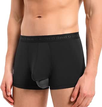 David Archy Men's Boxer Briefs 3-Pack – Micro Modal Dual Pouch Underwear For Comfort & Support