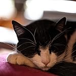 Review Image by Drug Store Cowboy Drug Store Cowboy