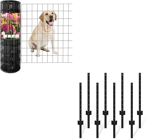 FOREHOGAR Valla de alambre soldada con revestimiento de PVC negro de 24 pulgadas x 50 pies, 2 pulgadas x 3 pulgadas, paquete 16GA de metal para