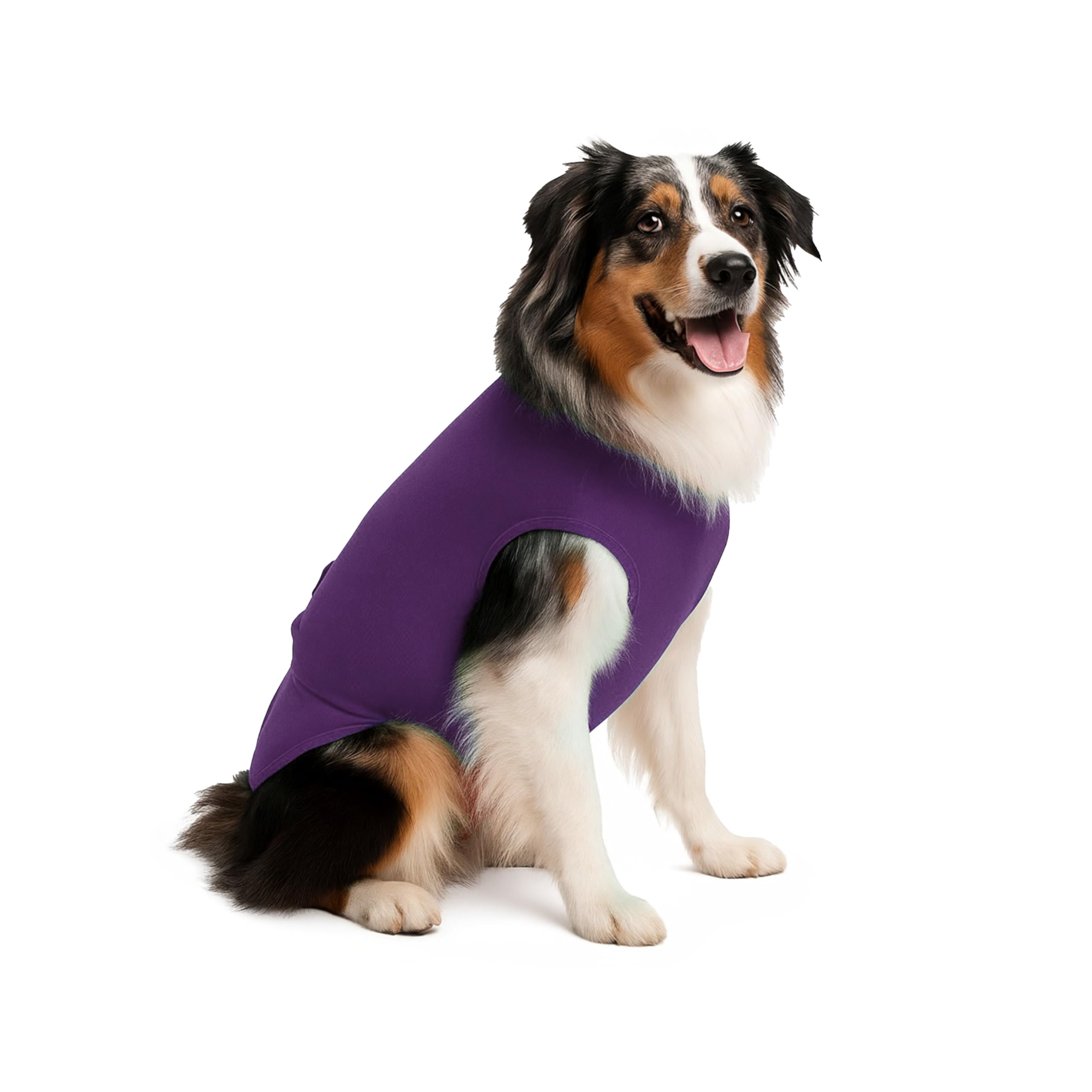 Surgi: Snuggly lavable desechable perro pañales Keeper – para perros macho y hembra – se adapta a cachorros para perros adultos – una solución simple a un problema de día a día