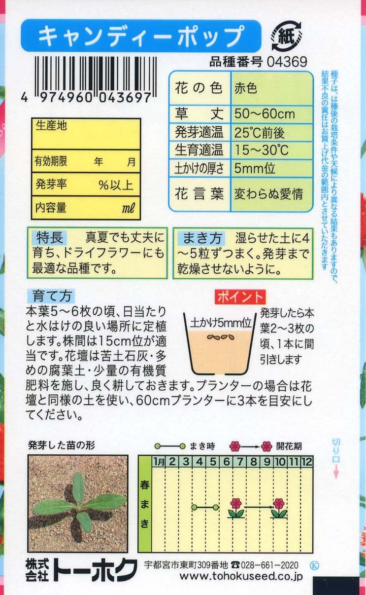Amazon 株式会社トーホク 千日紅 キャンディーポップ 花 Amazon 株式会社トーホク 千日紅 キャンディーポップ 花