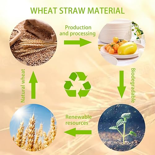 Miniatura 8 de LIYH - 20 platos de paja de trigo, platos llanos beige, platos reutilizables, aptos para microondas y lavavajillas, juego de platos irrompibles para