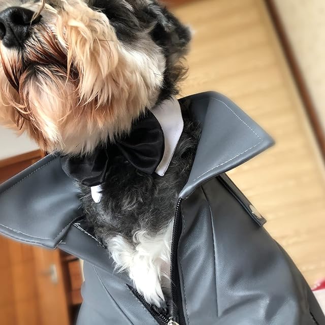 Foto 5 de 7 de HACRAHO Collar de Pajarita Formal para Mascotas, 1 Pieza, Disfraz de algodón Suave Blanco