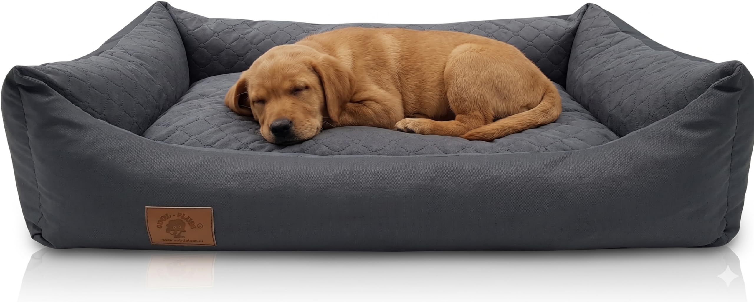 Odolplusz XXL Hundebett 100x70cm - Abnehmbarer, wasserdichter Bezug - Bequemer Hundekorb für große & mittelgroße Hunde - Waschbar & Robust