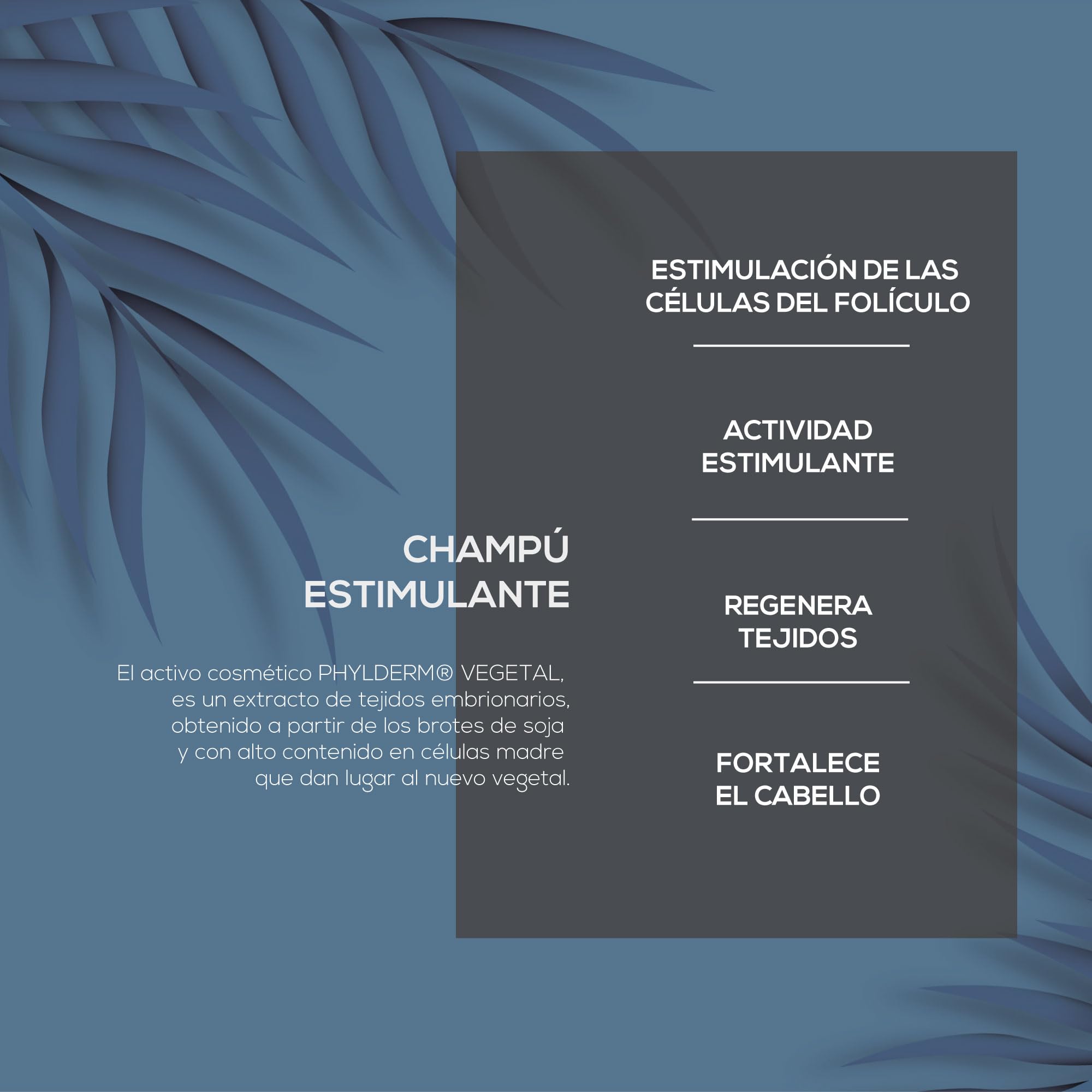 CHAMPÚ REGENERADOR CAPILAR ANTICAÍDA - Pérdida de Cabello para Hombre y Mujer