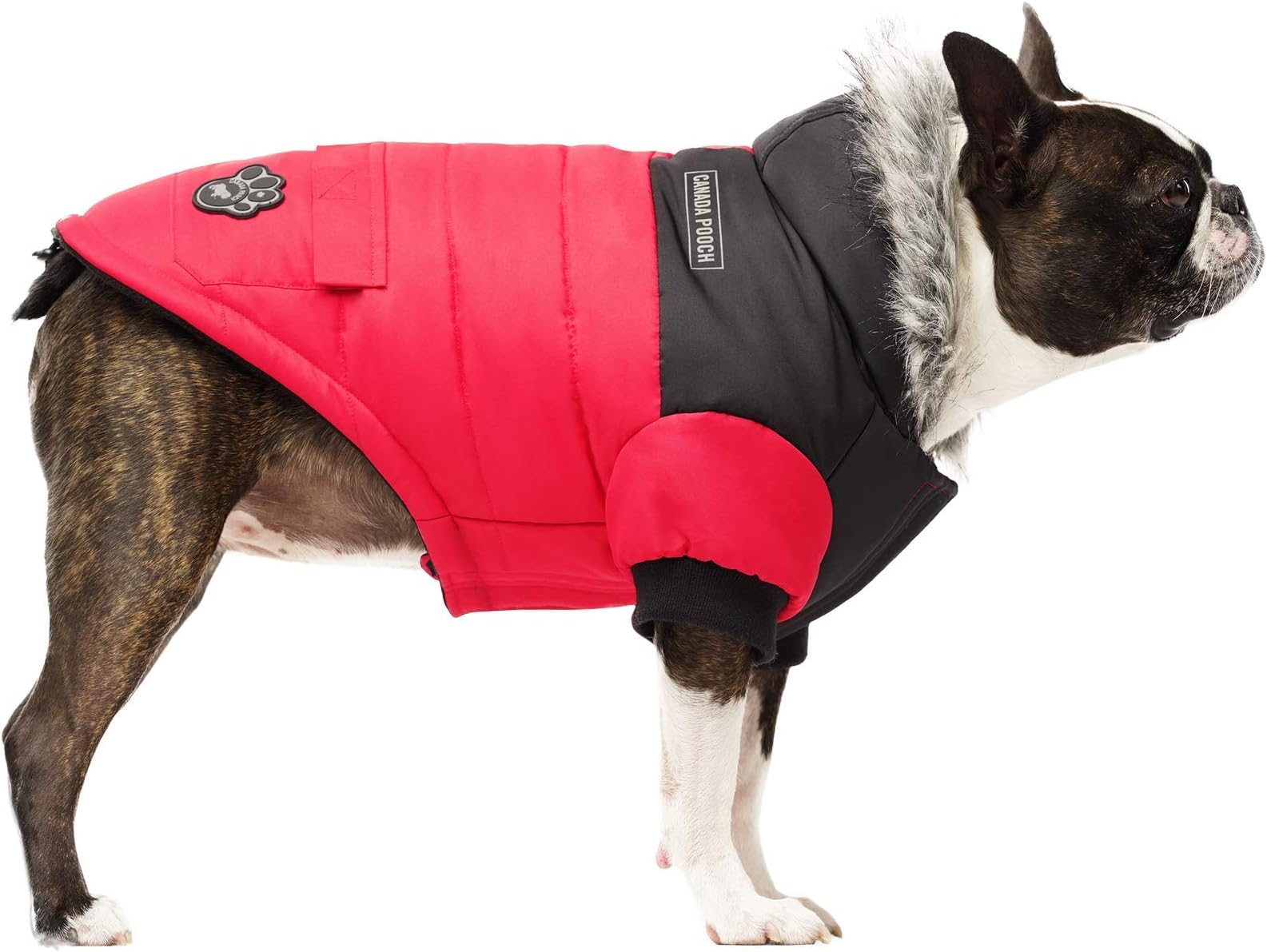 canada pooch jacket