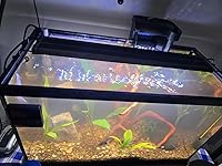 Review Image by MikePhilbrook MikePhilbrook