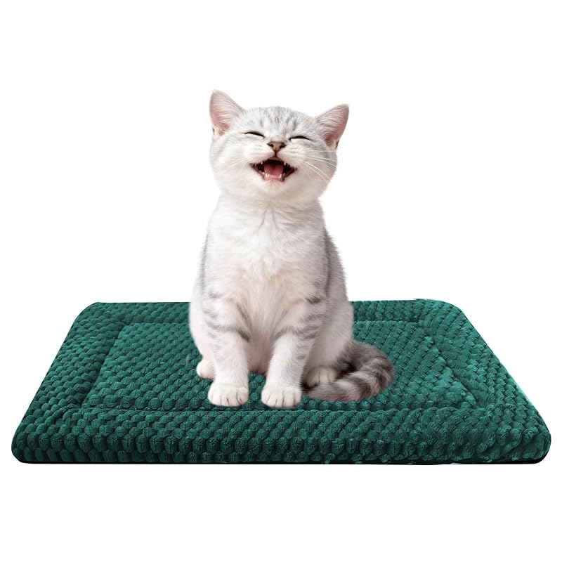 Tapete para Cama de Cães Reversível em Espuma Fogkiss Dark Green, 45,72 x 35,56 x 3,81 cm, 1 unidade