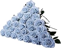 Vista 16 de LVEFIT 12 rosas artificiales de seda de color naranja quemado, ramo de rosas de seda de tallo largo para bodas, despedidas de soltera, fiestas