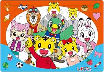 71Zn4S2YuRL._AC_UF350,