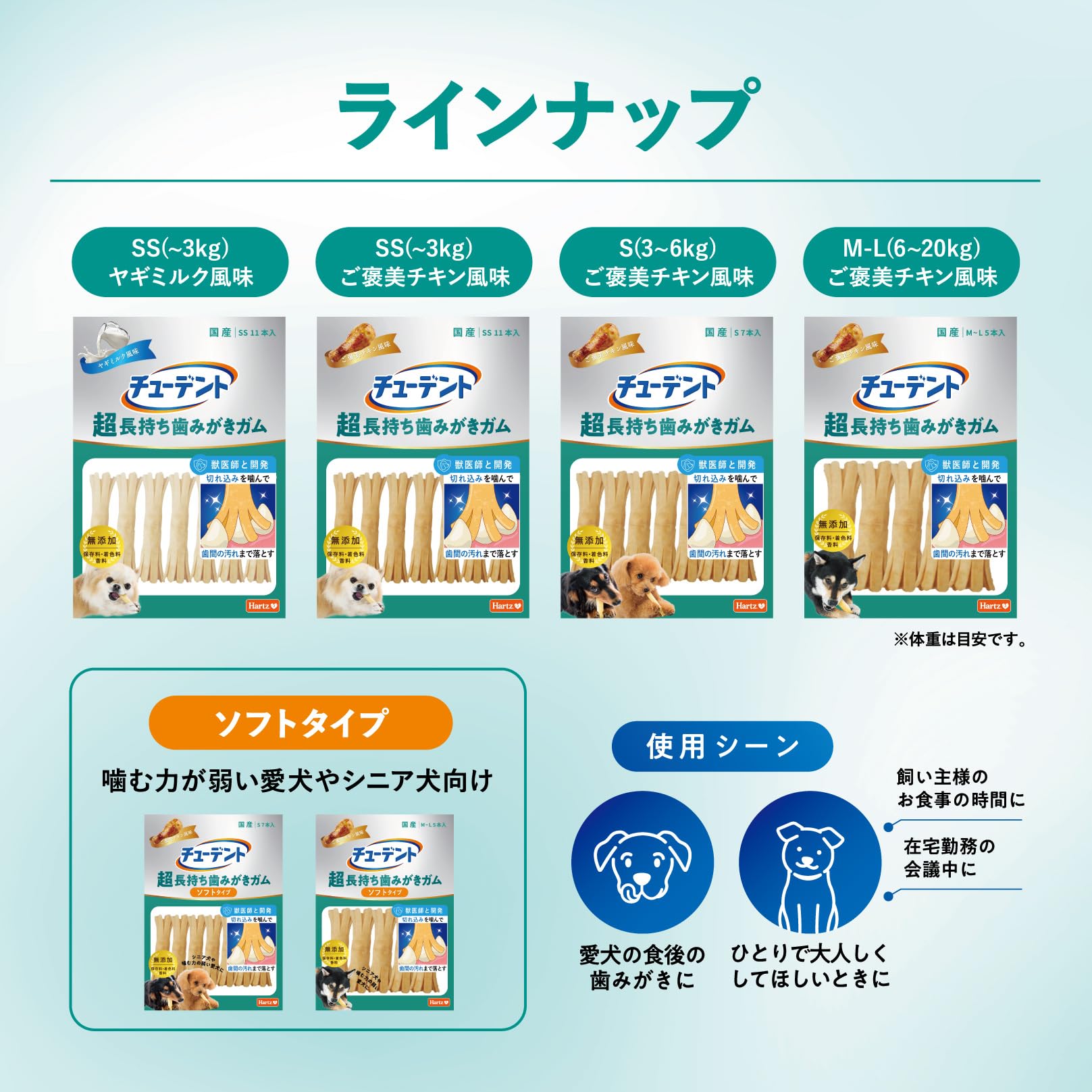 Amazon.co.jp: チューデント 超長持ち歯みがきガム S 16本入 ジャンボ