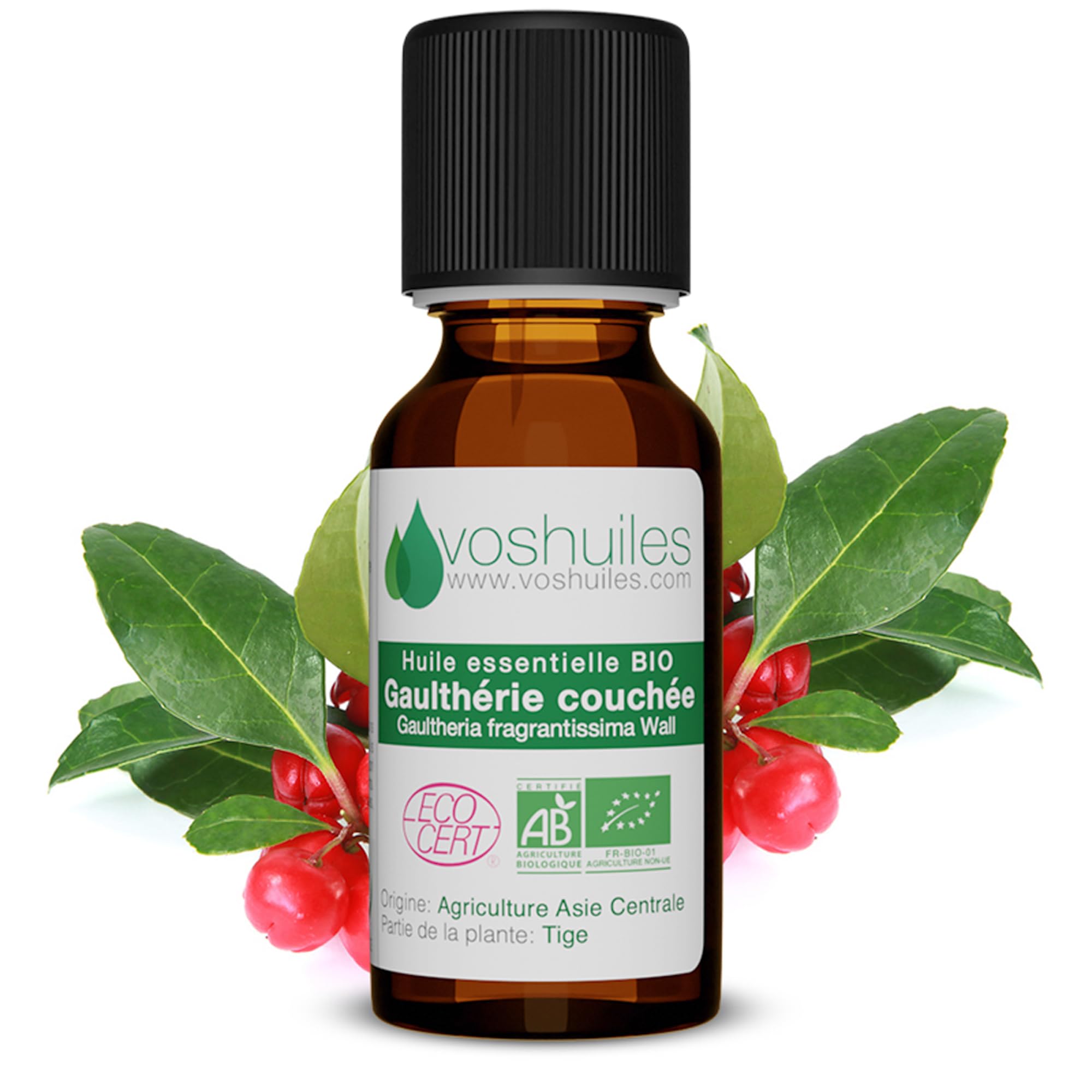 Duo Huile Essentielle de Gaulthérie couchée 10 ml et Huile Végétale — free download