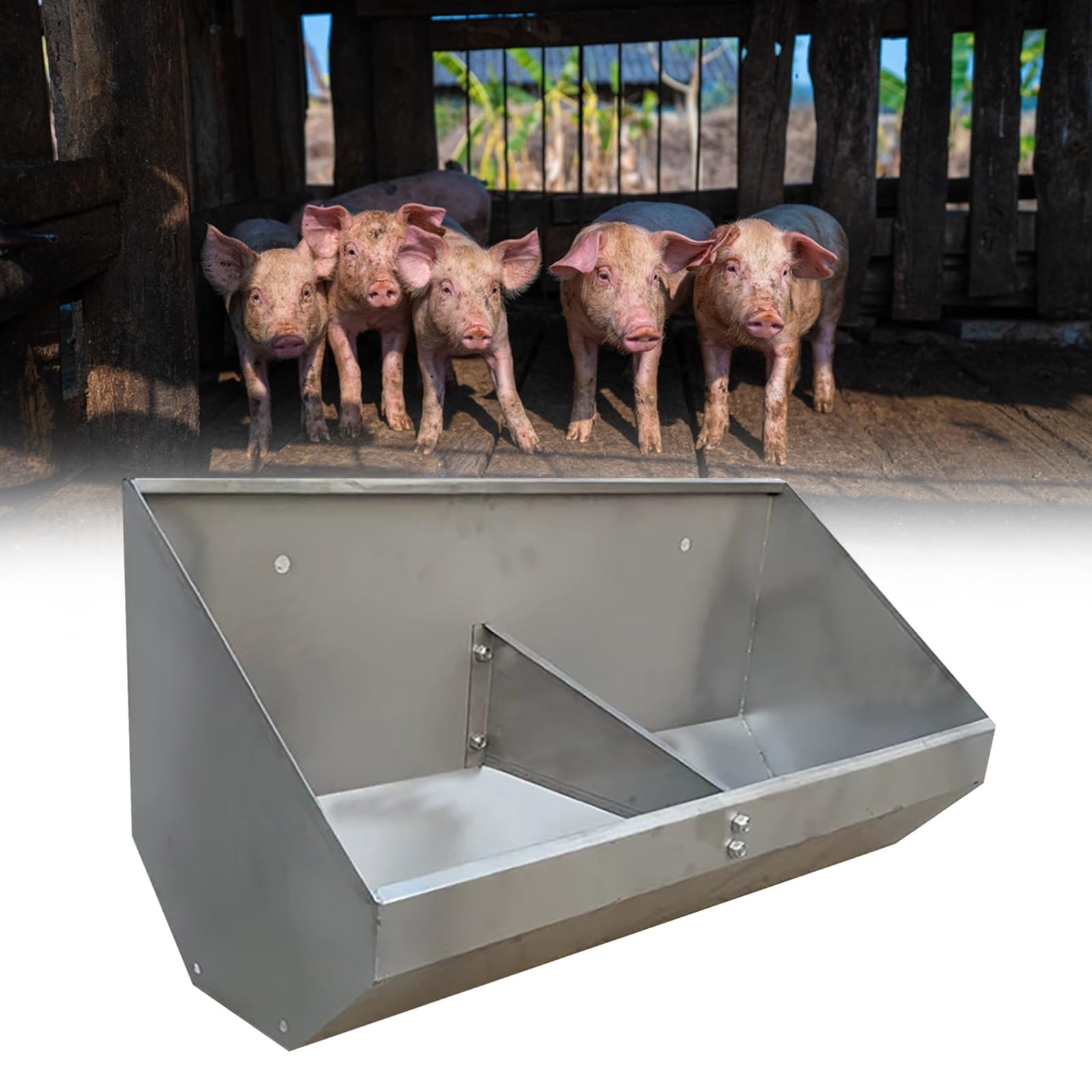 Mangiatoia per animali pesanti per maiali e pollame, design facile da pulire per uso agricolo e capannone