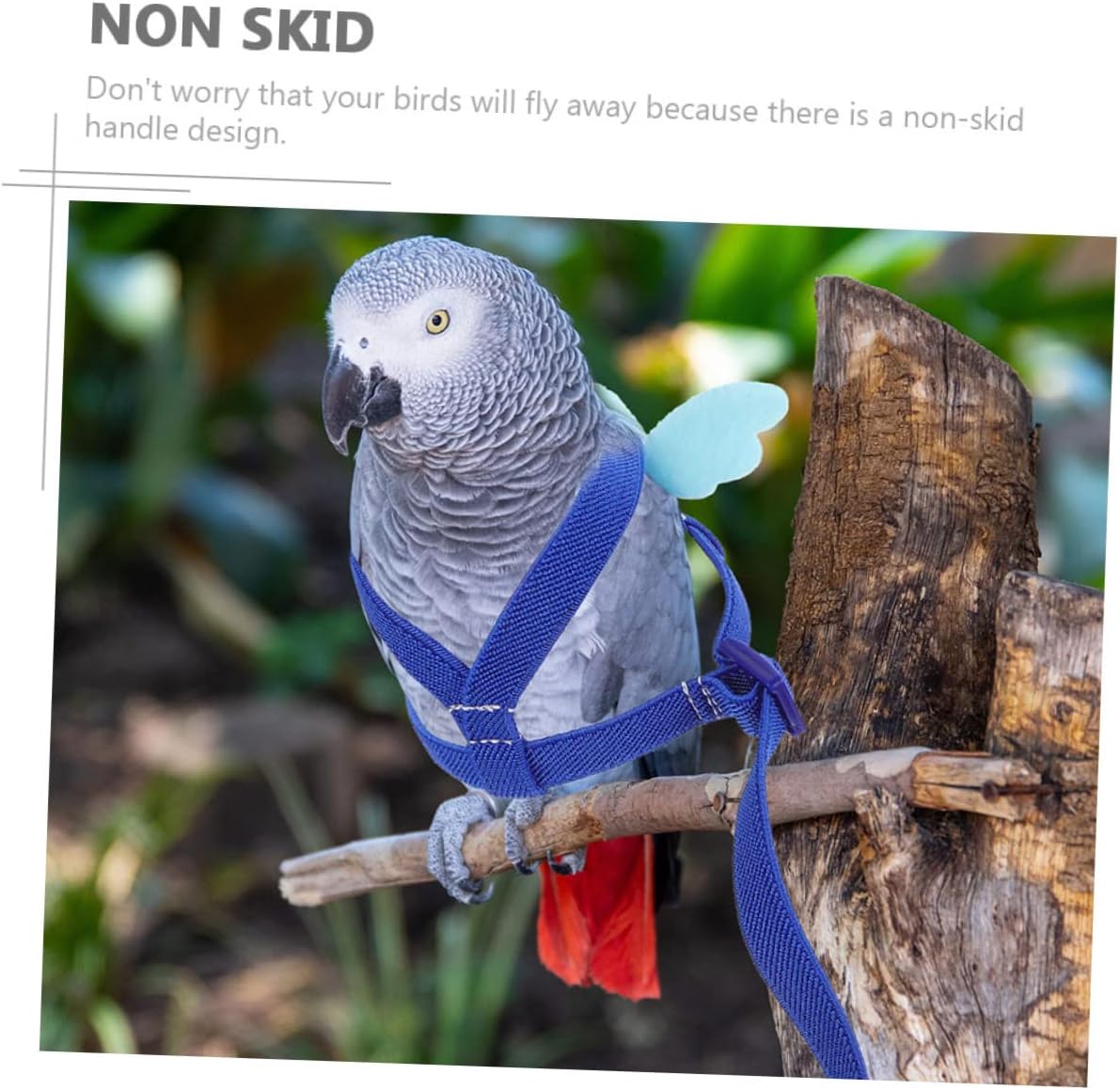 FRCOLOR 4sets Portable Bird Elastic Leash for Outdoor Training Wear-Resistant Cockatiel Flight Strap Safe and Comfortable Parrot Supplies for Daily Use