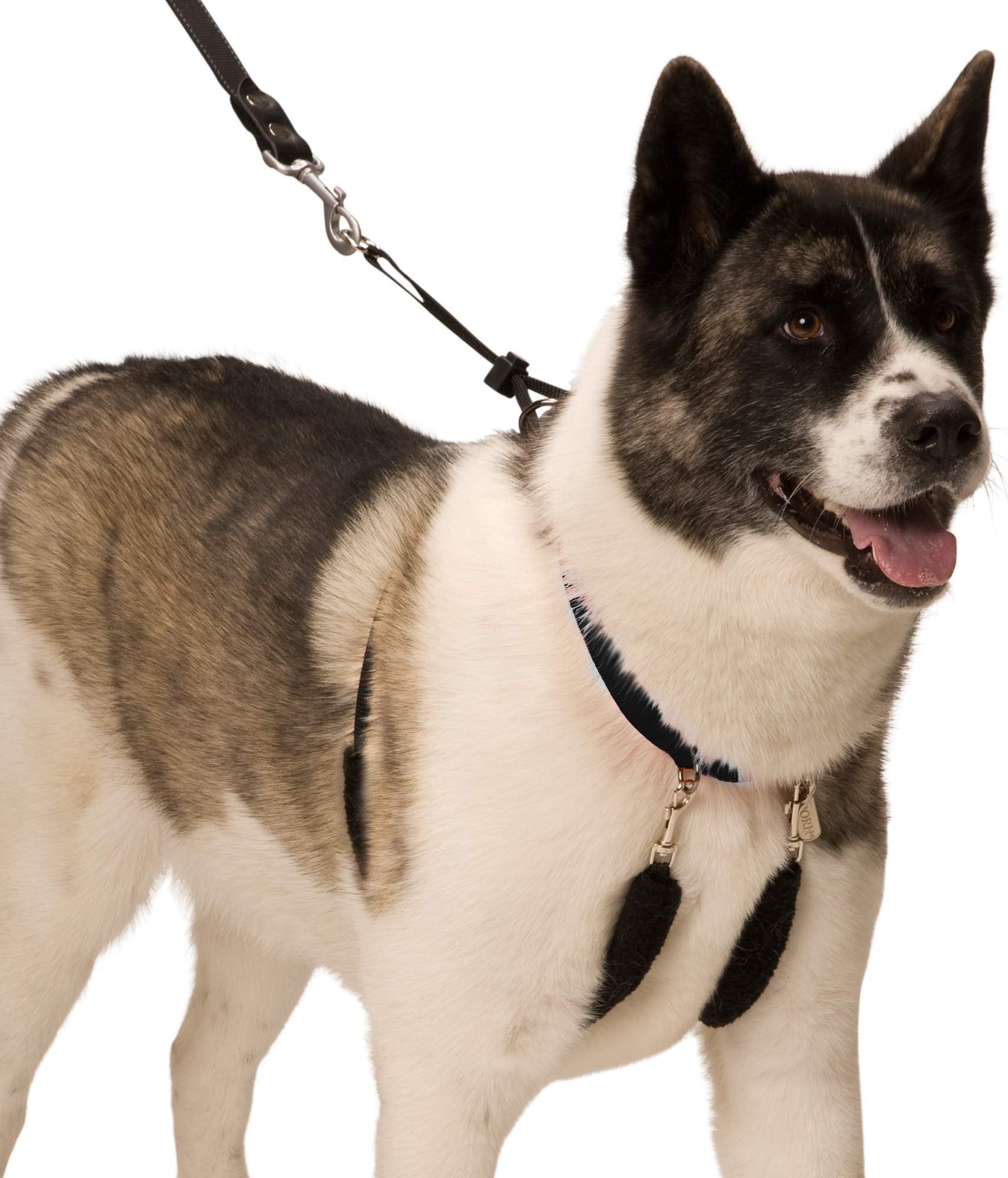 yup collars
