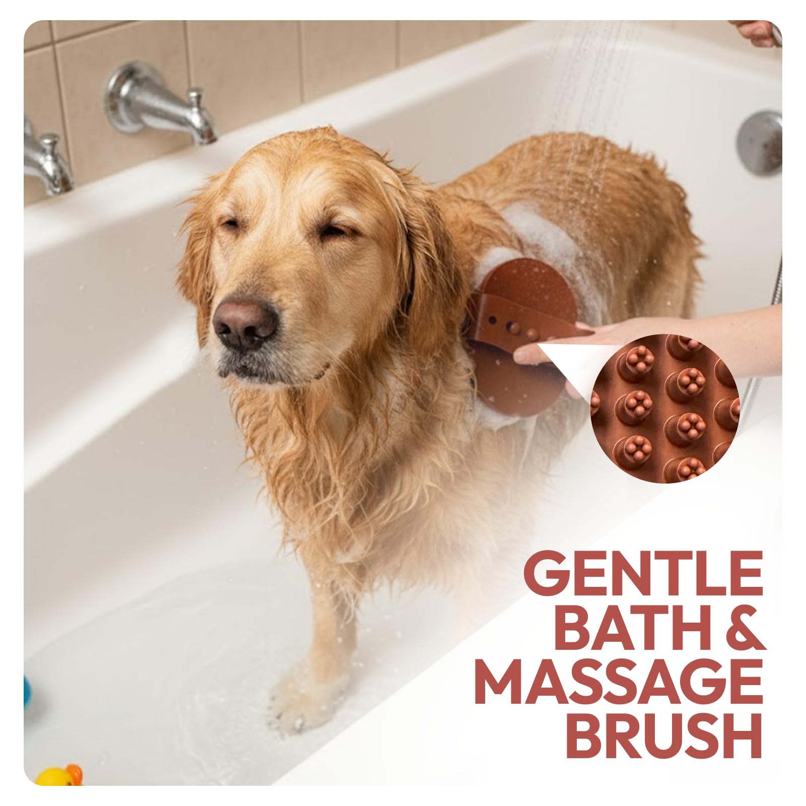 Pet Grooming Kit - Dogs & Cats by Paw Mountain -6