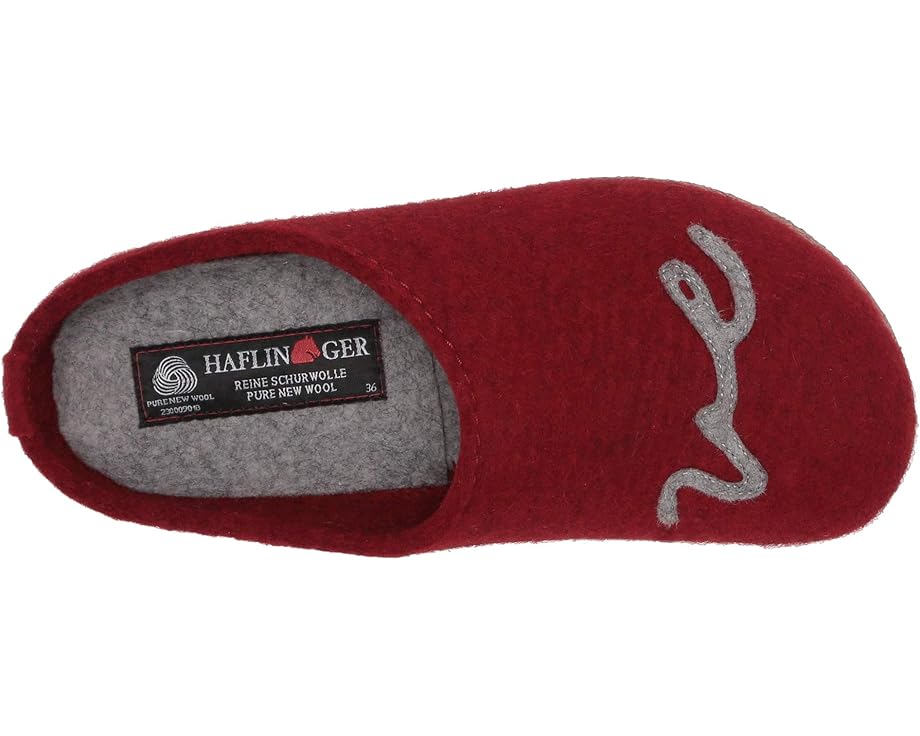 Haflinger Lovely - Top View