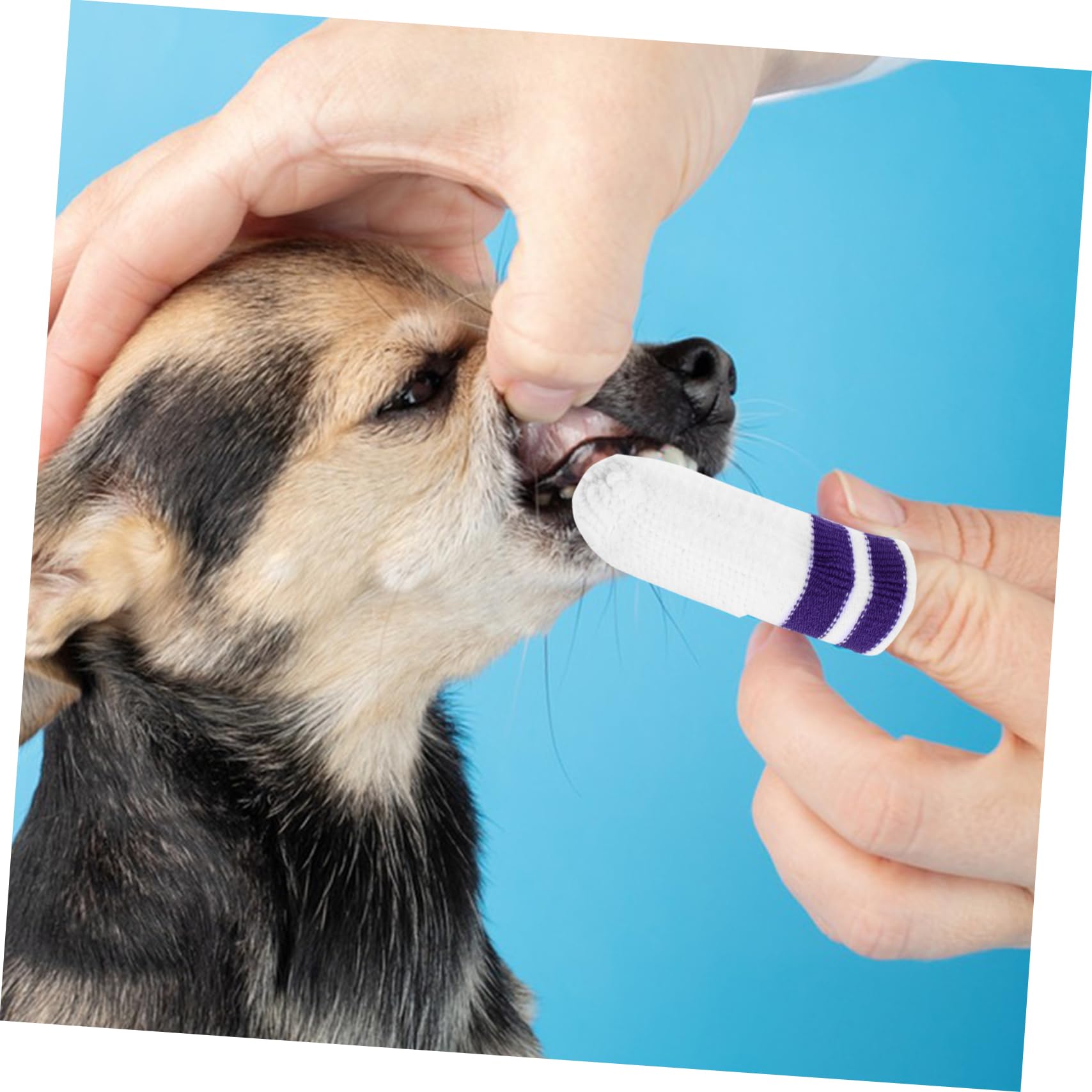 POPETPOP 30 Pcs Nettoyage Pour Animaux De Compagnie Dent Doigt Lingettes Pour Chiens Petite Race Brosse Dents Brosse À Dents Dent Doigt Lingettes Pour Chiens