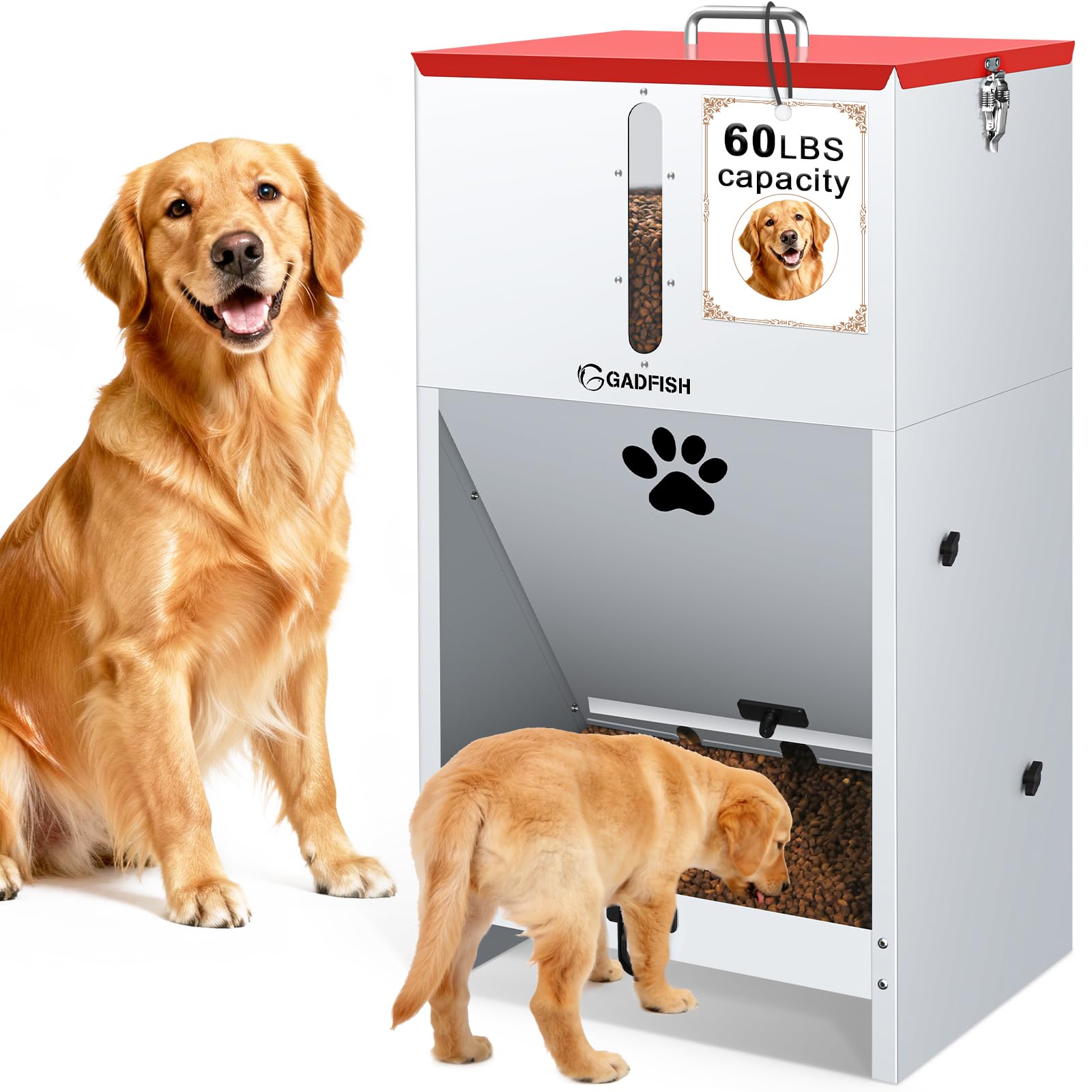 Pet Supplies : GADFISH 60 lbs Large Automatic Dog Feeder, Outdoor