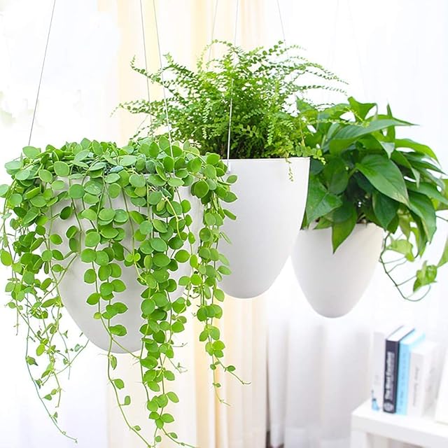 Sungmor Garden Self watering Hanging Planter | 3PC PACK, White | Succulent Flower Pot Air Plant Holder | Unique Eggshell Houseplant Pots | Home Indoor Outdoor Office Decorative Container