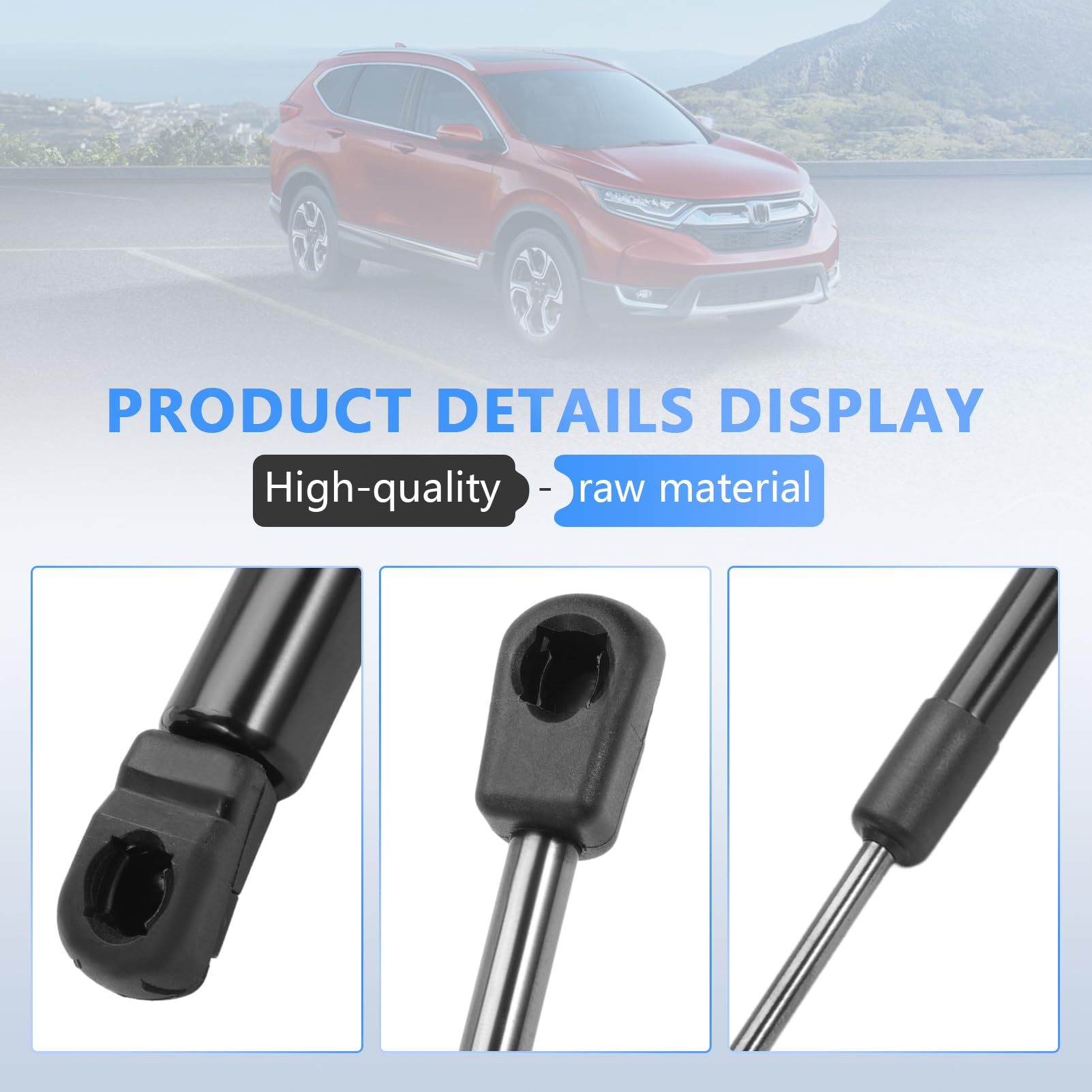 Amazon.com: Lift Support Left & Right Tailgate Liftgate Lift