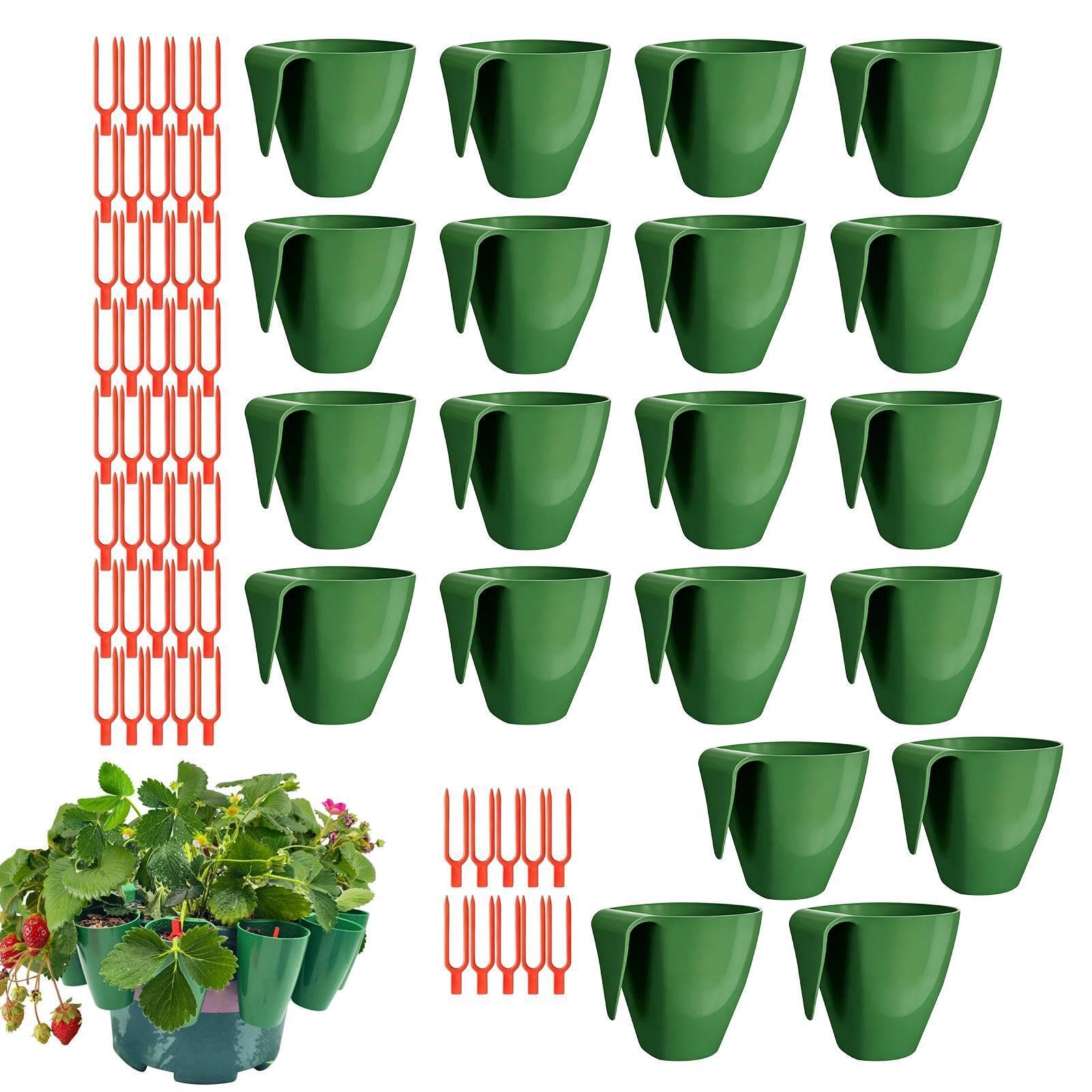 Pots de propagation pour fraisiers : lot de 20 godets de culture avec fourchettes à stolons