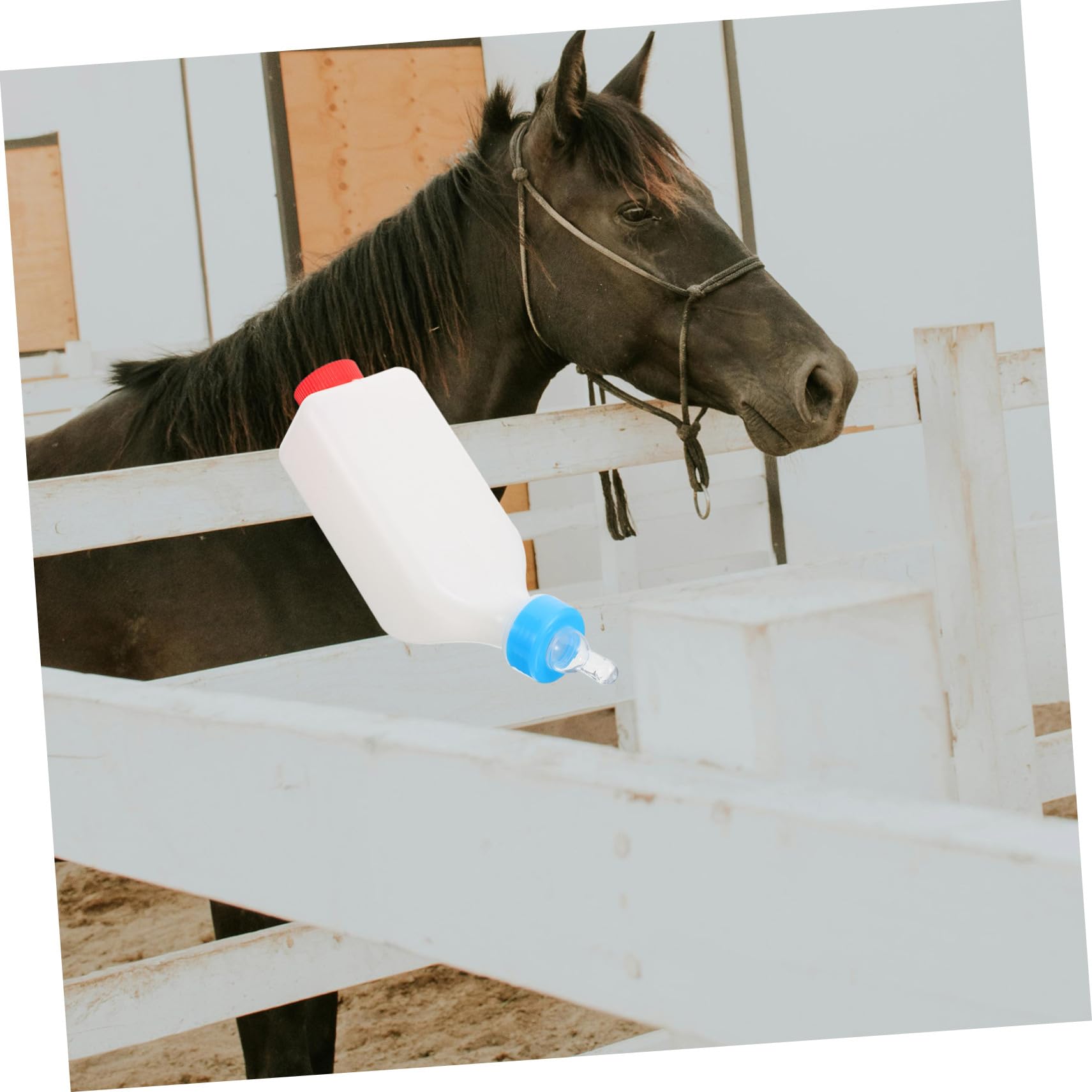 BESPORTBLE 4pezzi Bottiglia Per Allattamento Di Vitelli e Agnelli Feeder Per Latte Accessorio Per Allevamento Di Bestiame Facile Da Pulire e Utilizzare