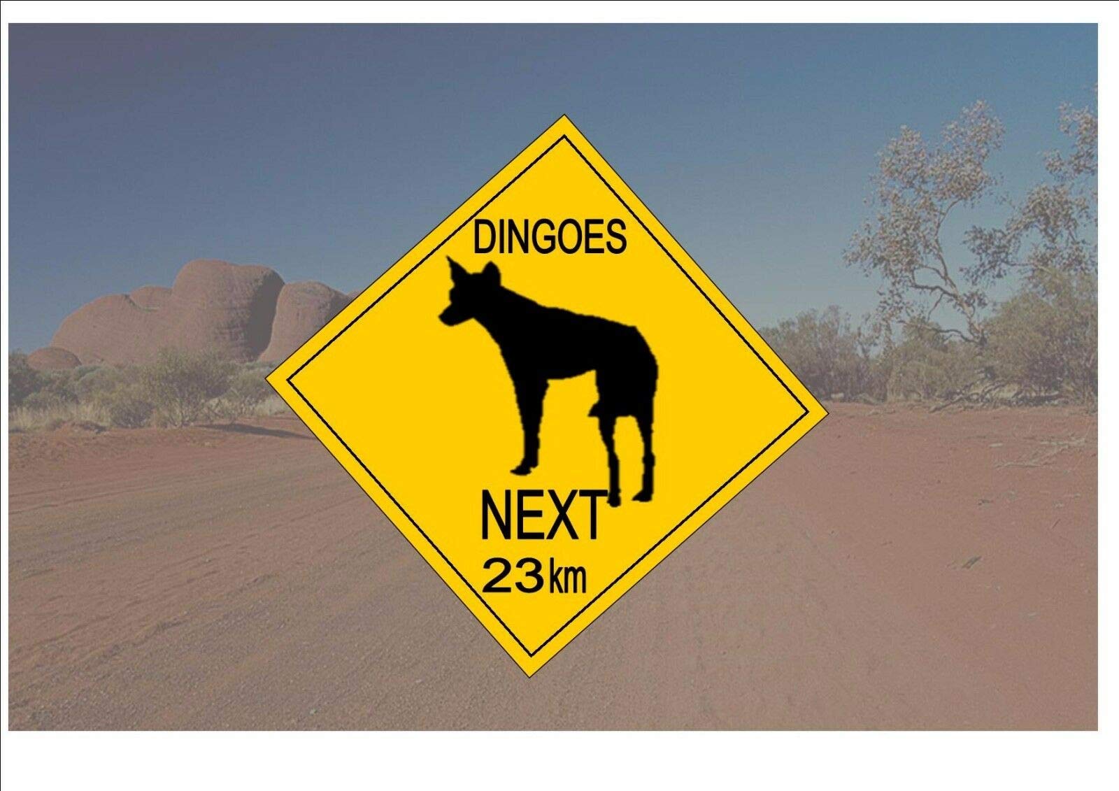 Metal Tin Sign Australian Style Road Sign Australia Road Sign Novelty Fun Dingoe Outback Sign Sign 12x12 inches