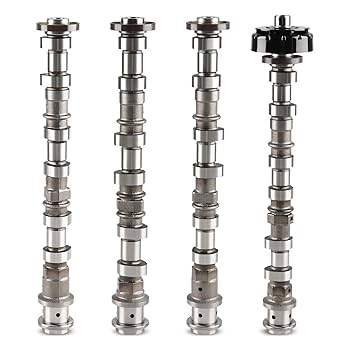 チェケラプランツ ⚠️要プロフ確認　 抽選開始致します！ (Japan &overseas) こちらからエントリー