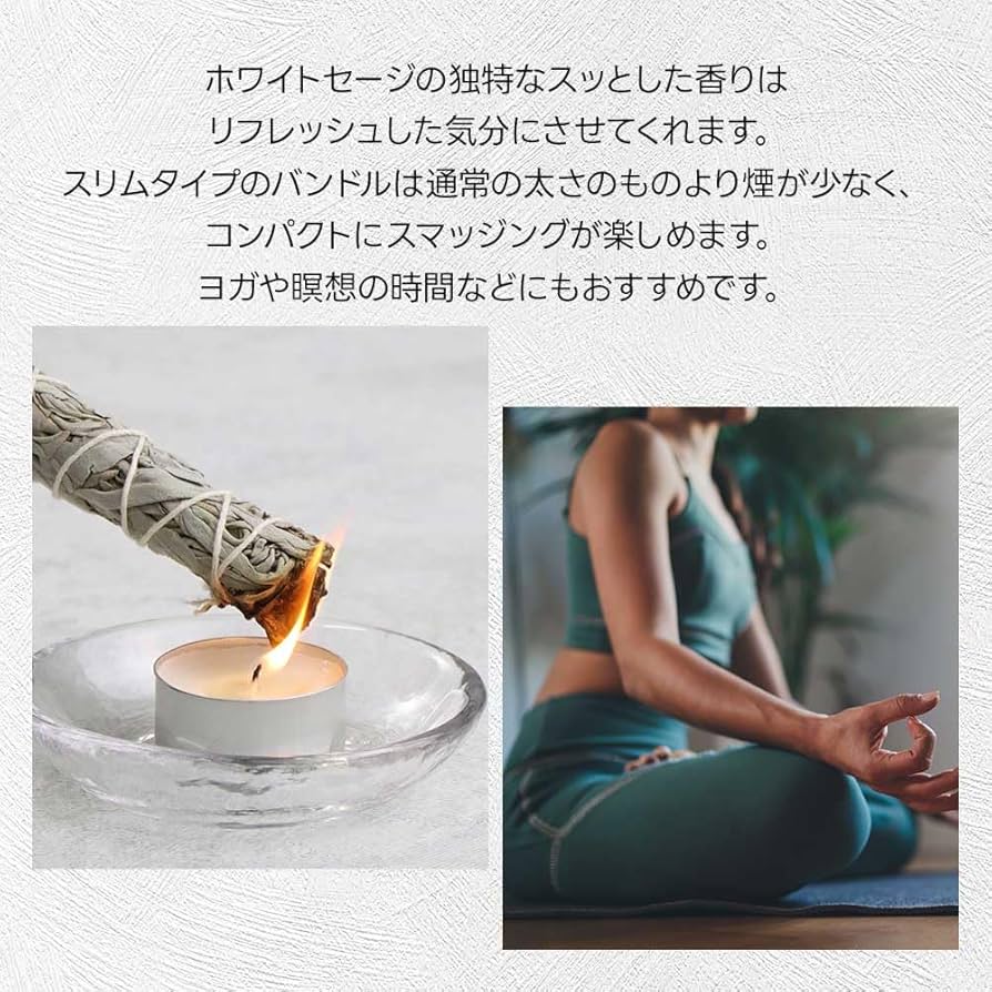 Amazon.co.jp: オーガランド ホワイトセージ 3本 バンドル
