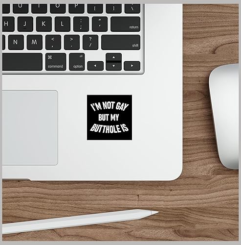 Miniatura 6 de I'm Not Gay But My Butthole is Sticker 2 Sticker Deal 3x9 y 2x2 Divertido Anal Gay Broma Broma Regalo de broma