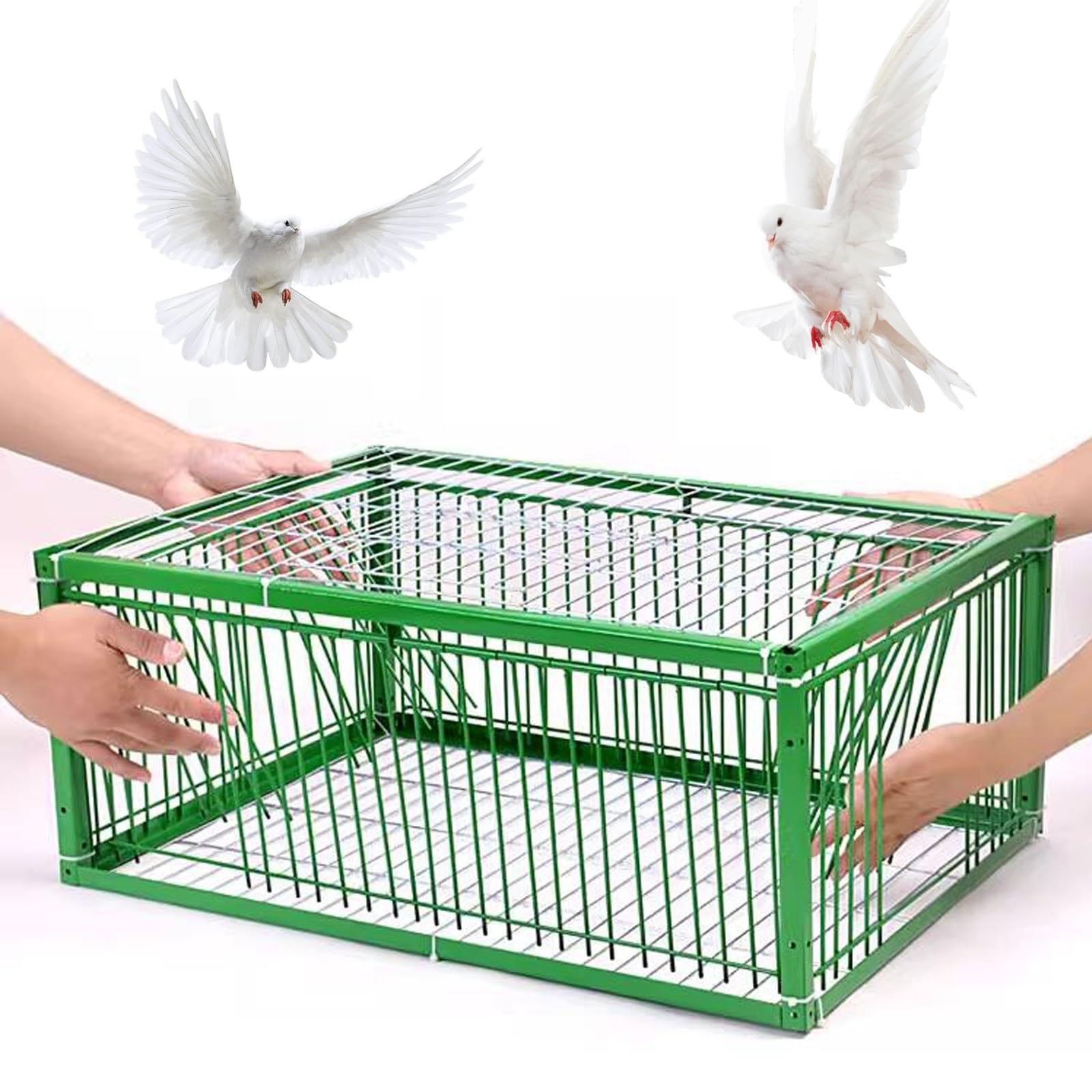 DKPLOE Bird trap bird Pigeon trap Trap Cage Proof Design Durable & Lightweight Tightly spaced for easy assembly and cleaning Suitable for pigeons parrots crows birds(60x40x26cm)