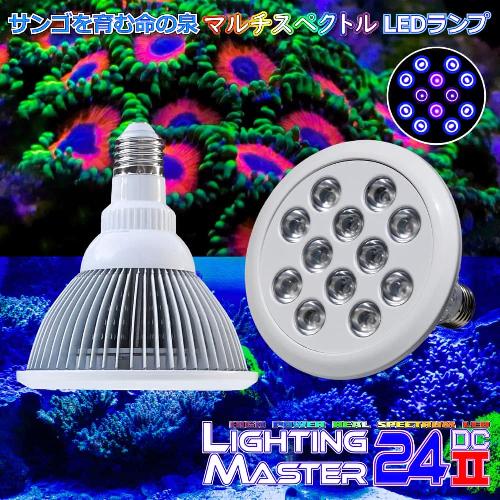 Lighting Master 240DC 3台セットJILL Lighting Master 240DC 3台セットJILL様専用 - メルカリ