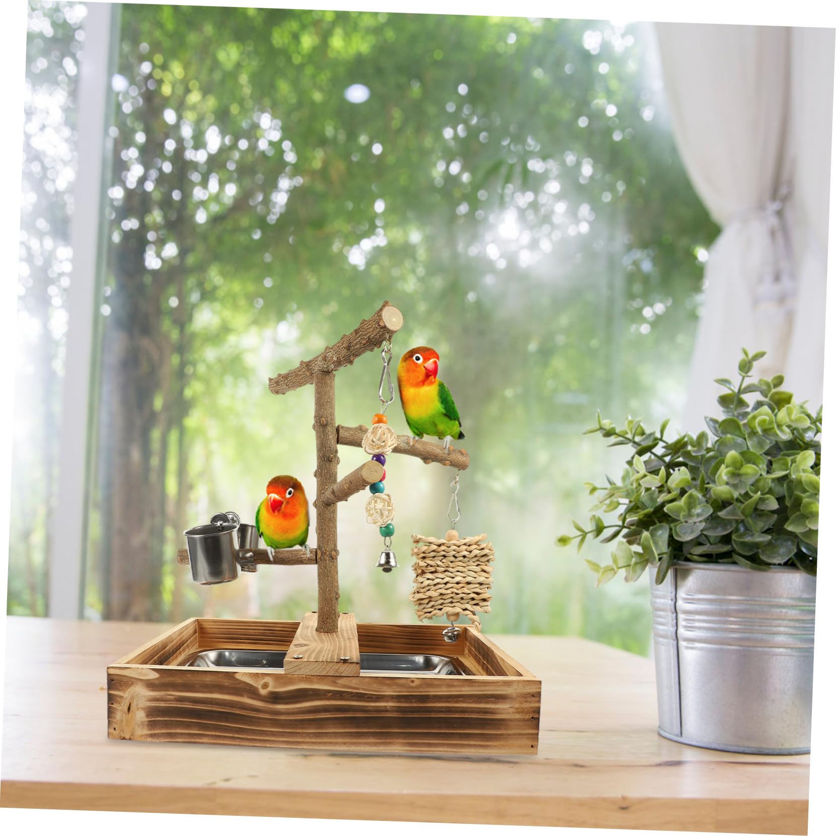 Holz Sitzstange für Papageien, Stabiles Vogelspielzeug für Käfige | Spielen Geeignet, Leicht zu Befestigen, Natürliches Holz, für Vogelkäfige und Papageienbedarf