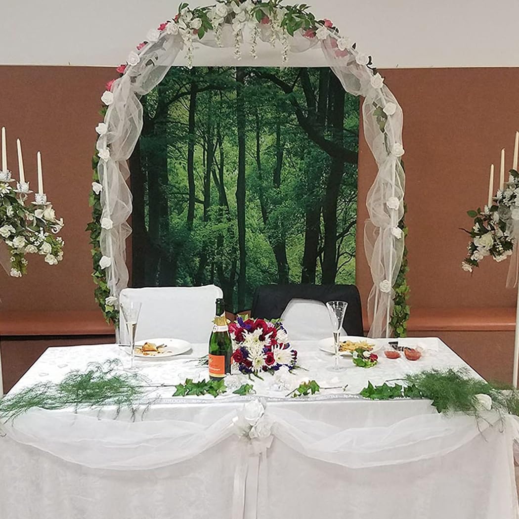 Genérico Łuk ogrodowy ze stali nierdzewnej do roślin pnących - regulowana wysokość i szerokość, 1,5 x 2,4 m (4,9 x 7,9 stopy) - trwały zewnętrzny stojak na pnącza i kwiaty