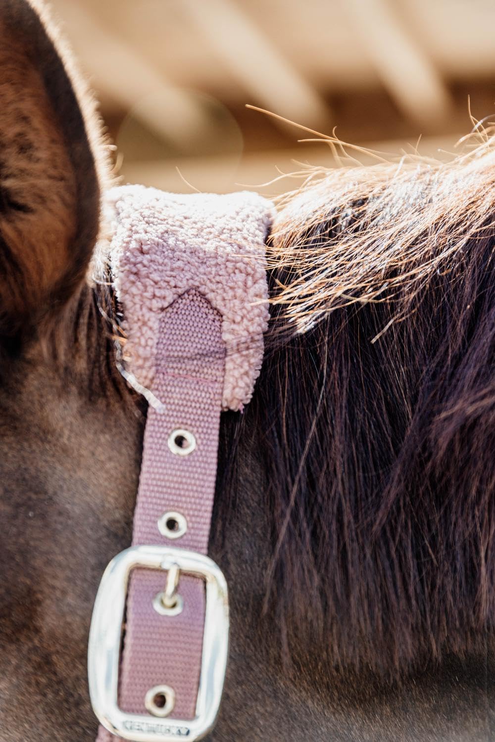 Kentucky - Teddy Fleece Halfter alt rosa Pony