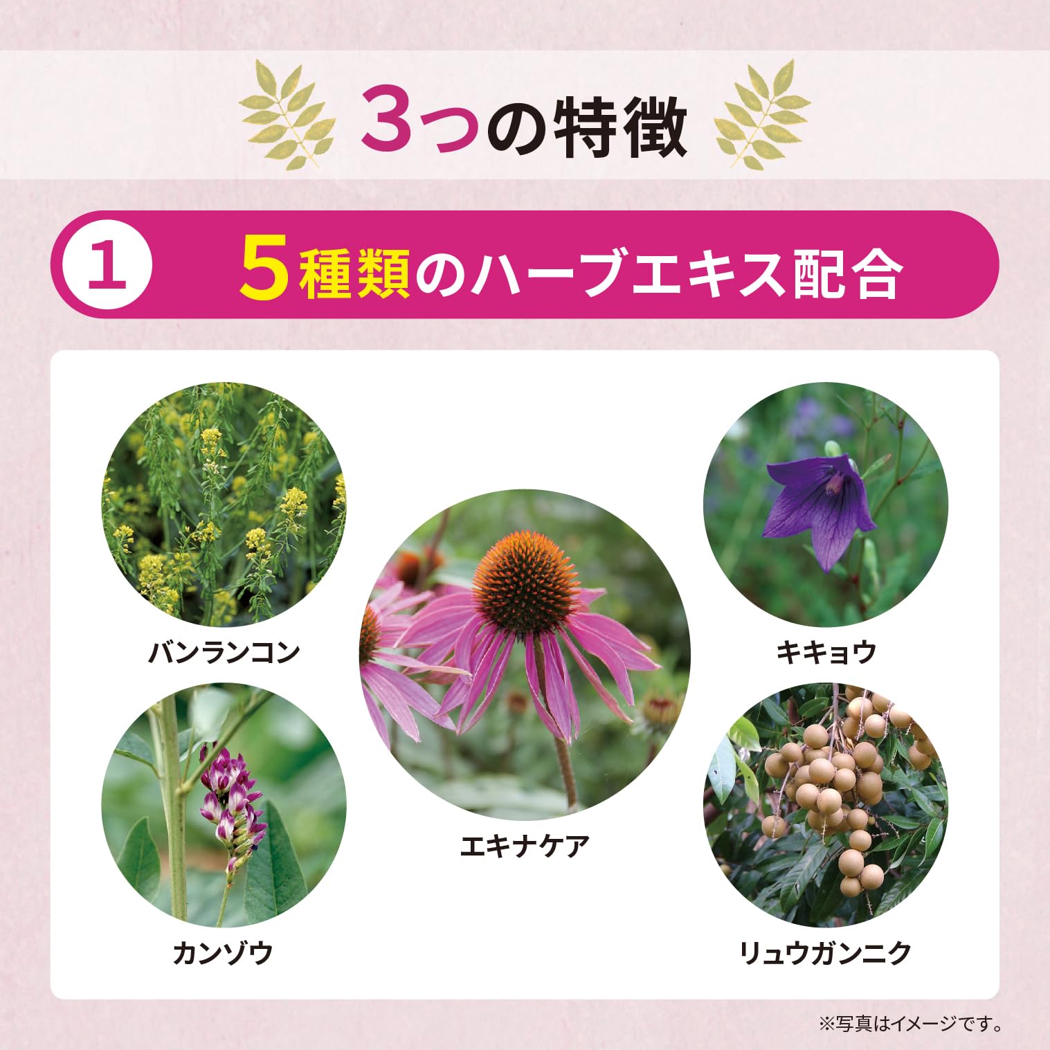 Amazon.co.jp: Matsuda Pharmaceutical Echinacea Throat Lozenges 52g