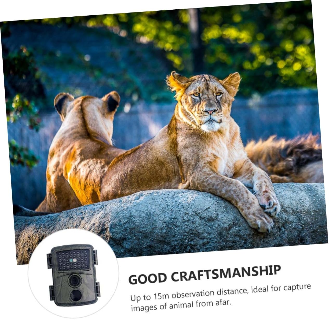 TOYANDONA Caméra de Chasse 1080p Étanche Vision Infrarouge Pir, Objectif Grand Angle 52°, pour Observation Faune en Extérieur